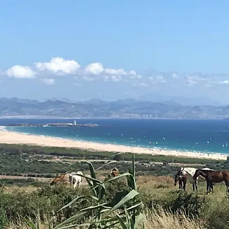 Rustic Cabin Tarifa 4 Guests 10 Minutes To Beach Exterior foto